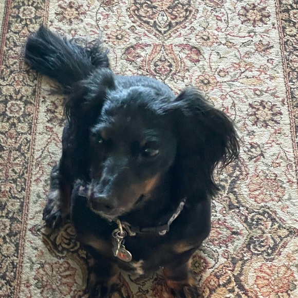 Do your part save the earth sell 2nd hand fashionable items. Stop by and say hi - Picture 11 of 14